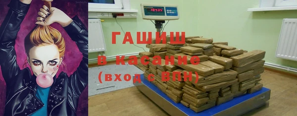 шишки Арсеньев