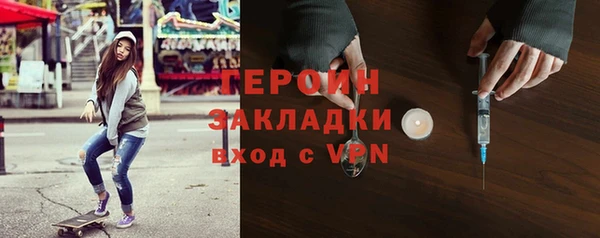 шишки Арсеньев