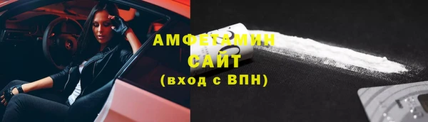 шишки Арсеньев