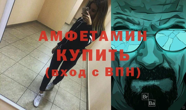 шишки Арсеньев