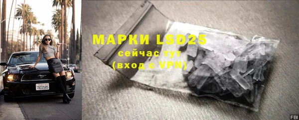 шишки Арсеньев