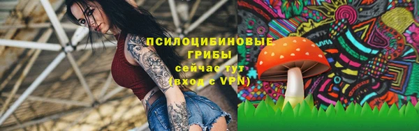 гидра Армянск