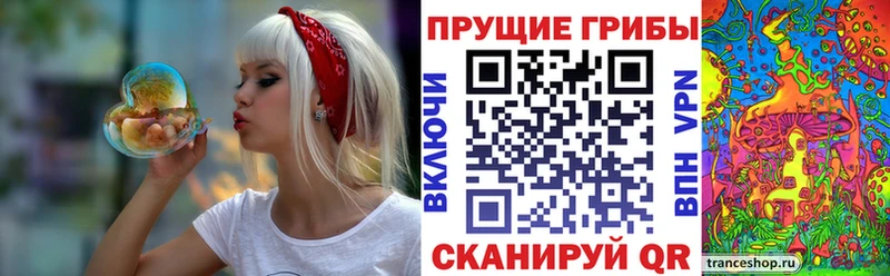 Псилоцибиновые грибы MAGIC MUSHROOMS  Северобайкальск 